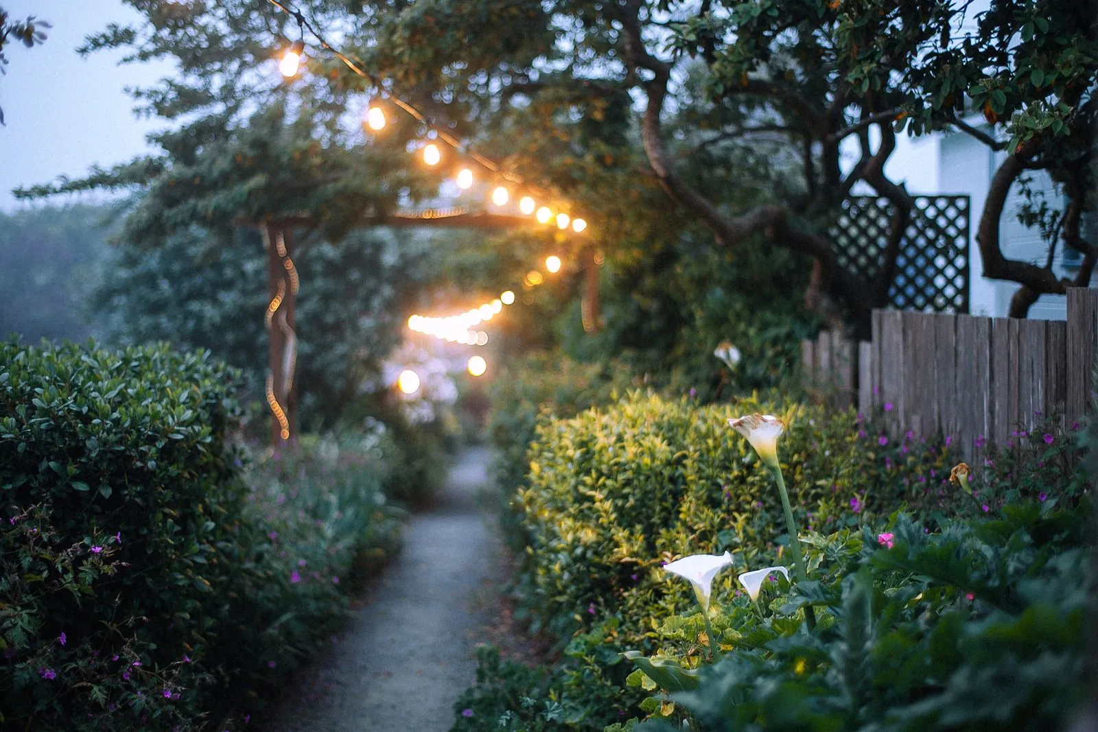 What to Know Before Installing Path Lights